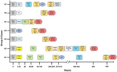 Cerebrospinal Fluid Drop Metastases of Canine Glioma: Magnetic Resonance Imaging Classification